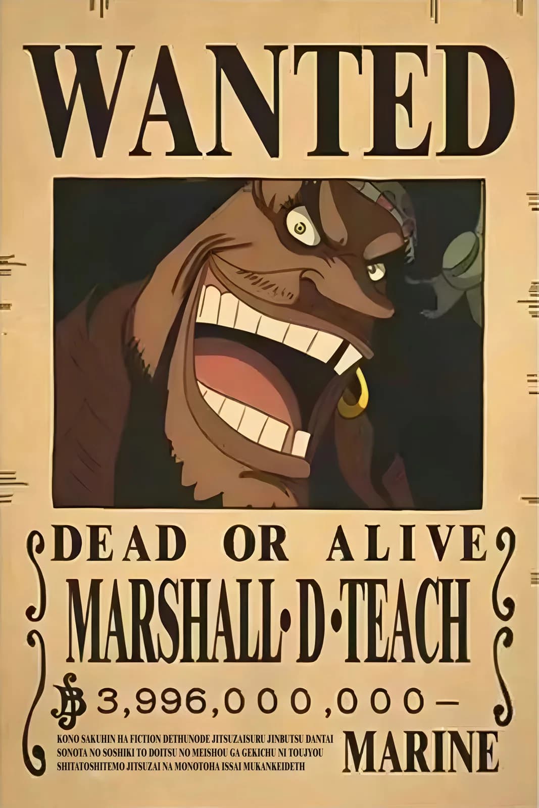 One Piece Wanted10