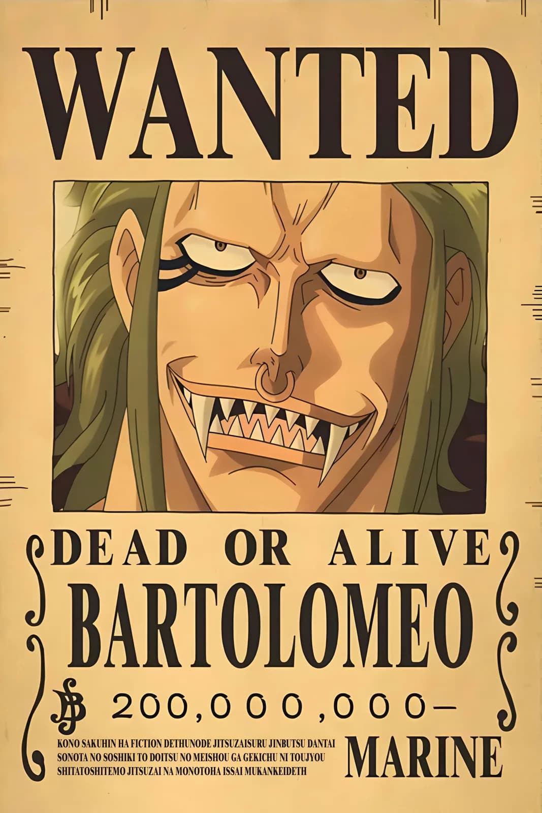 One Piece Wanted19