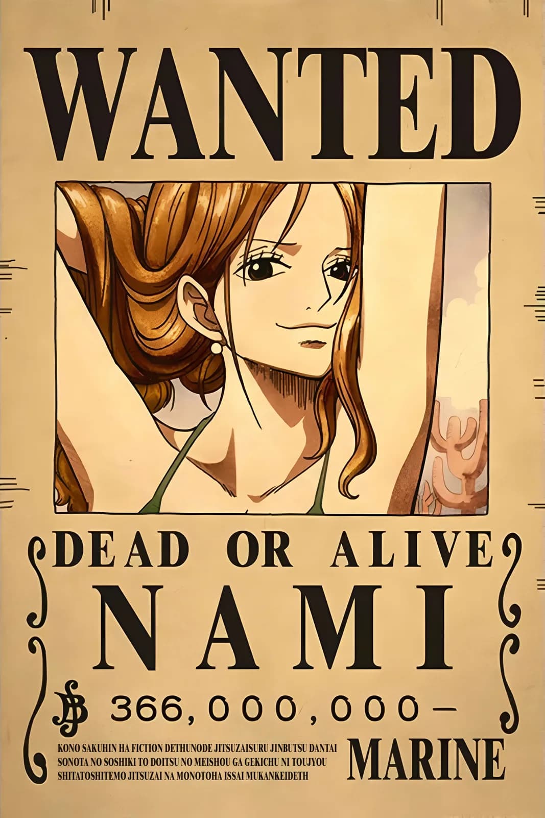 One Piece Wanted3