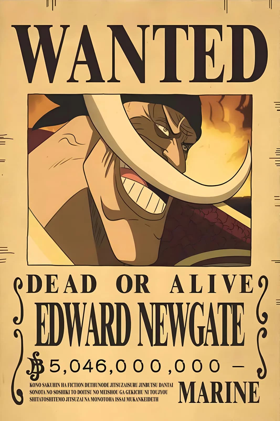 One Piece Wanted4