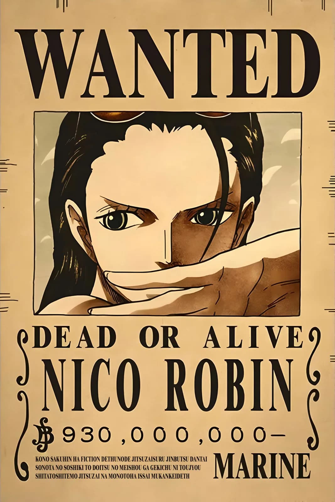 One Piece Wanted5