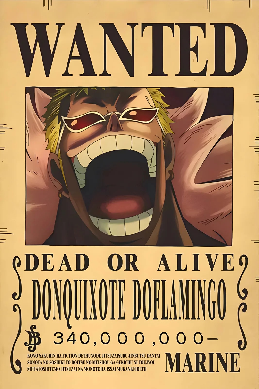One Piece Wanted11