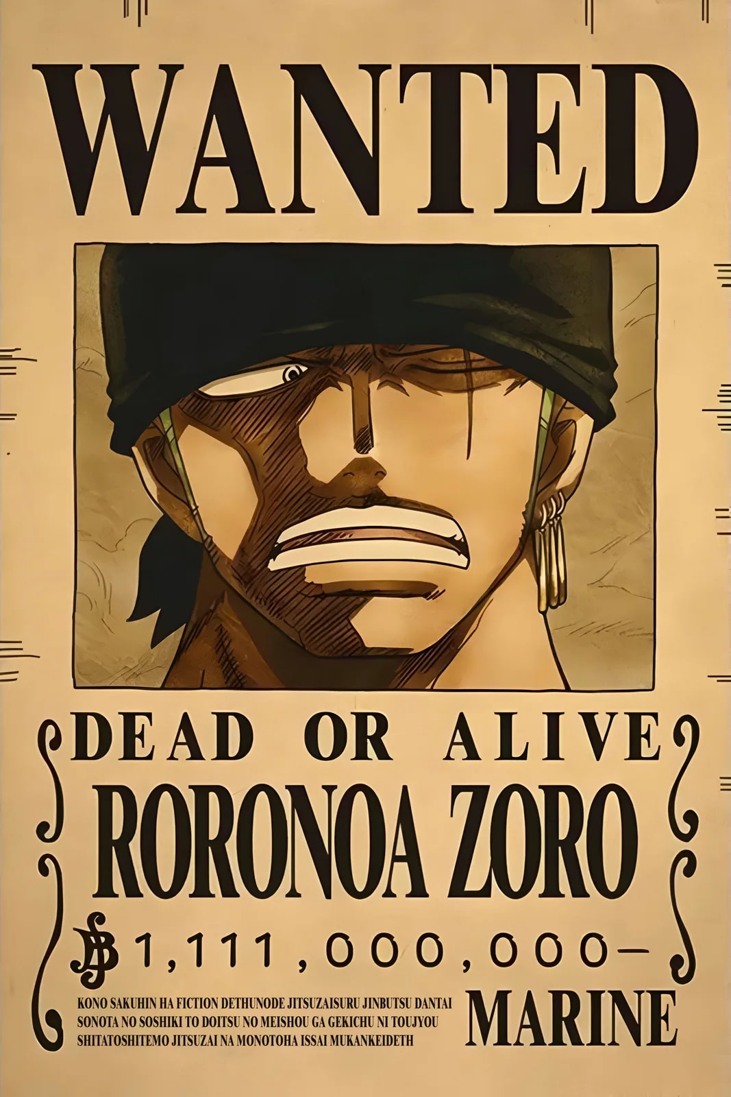 One Piece Wanted2