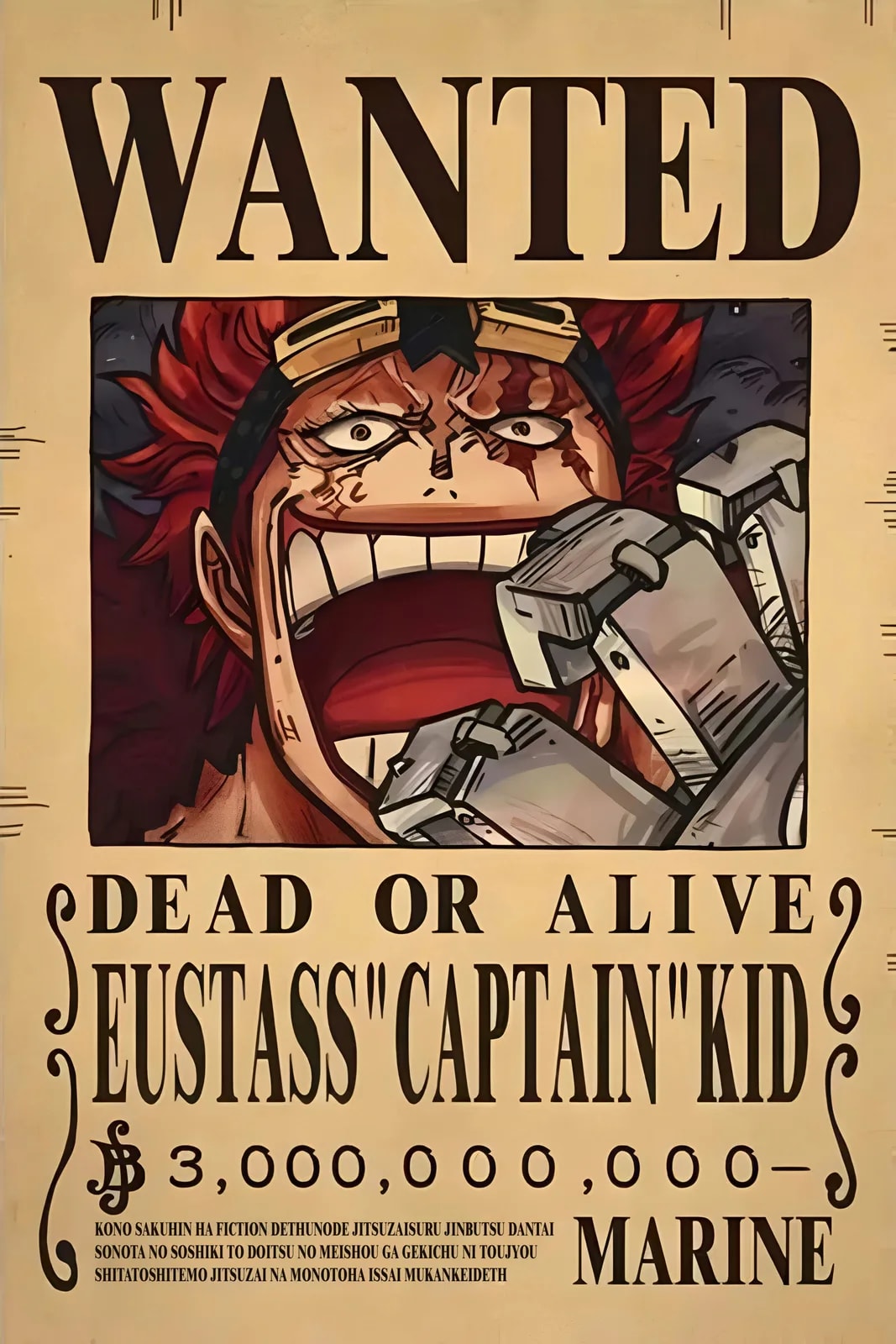 One Piece Wanted22
