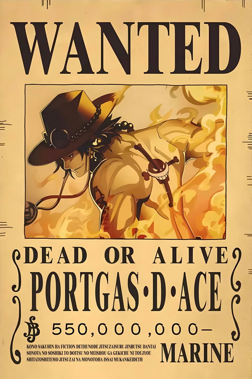 One Piece Wanted25