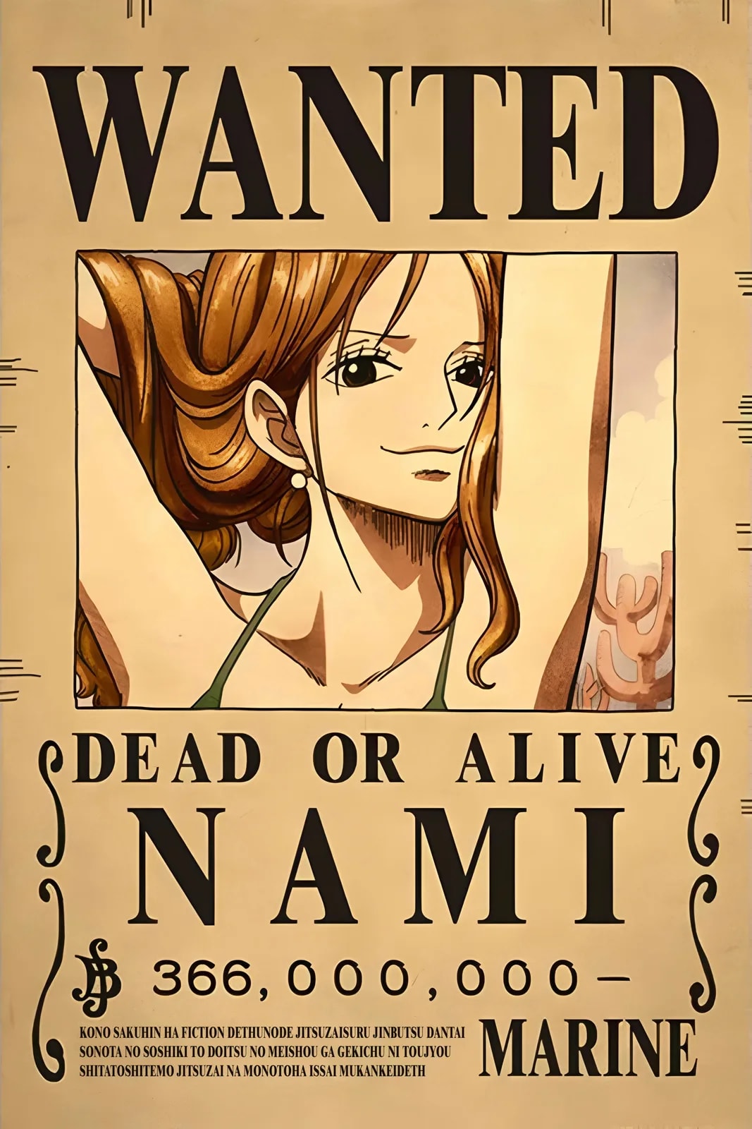 One Piece Wanted3