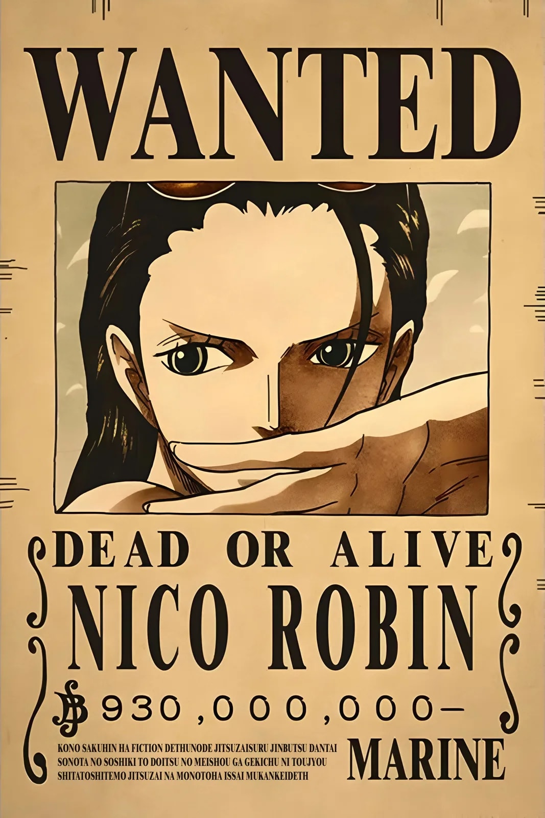 One Piece Wanted5