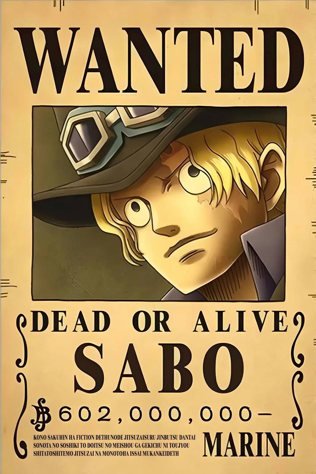 One Piece Wanted7
