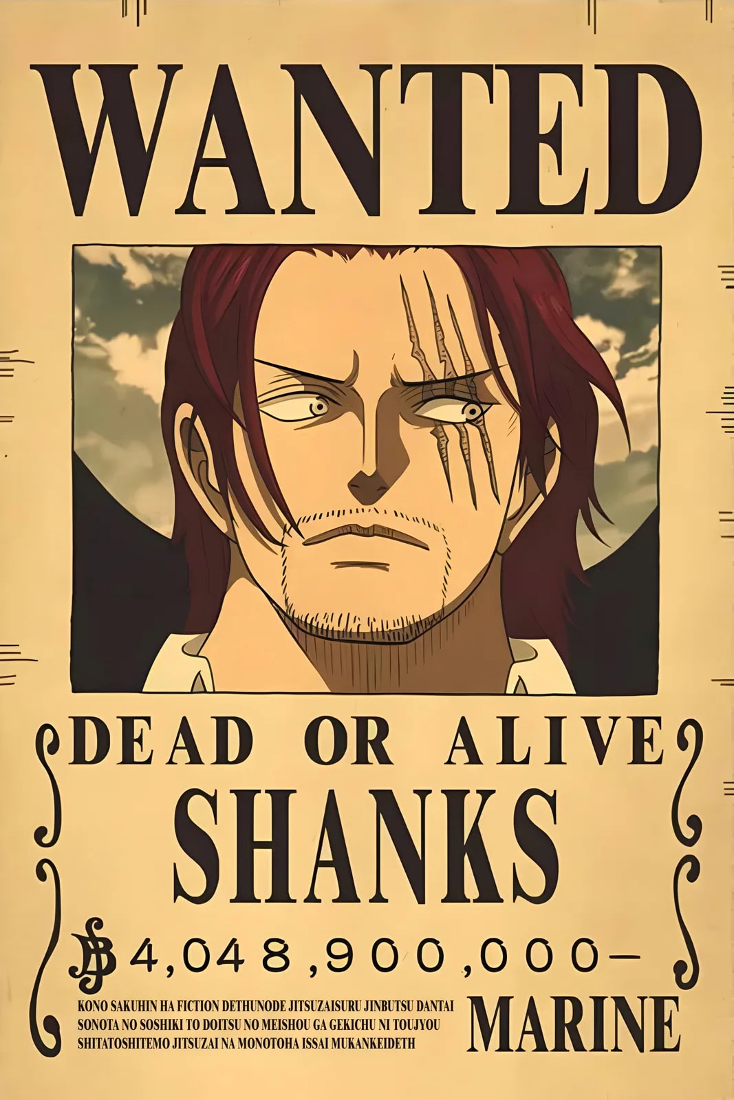 One Piece Wanted9