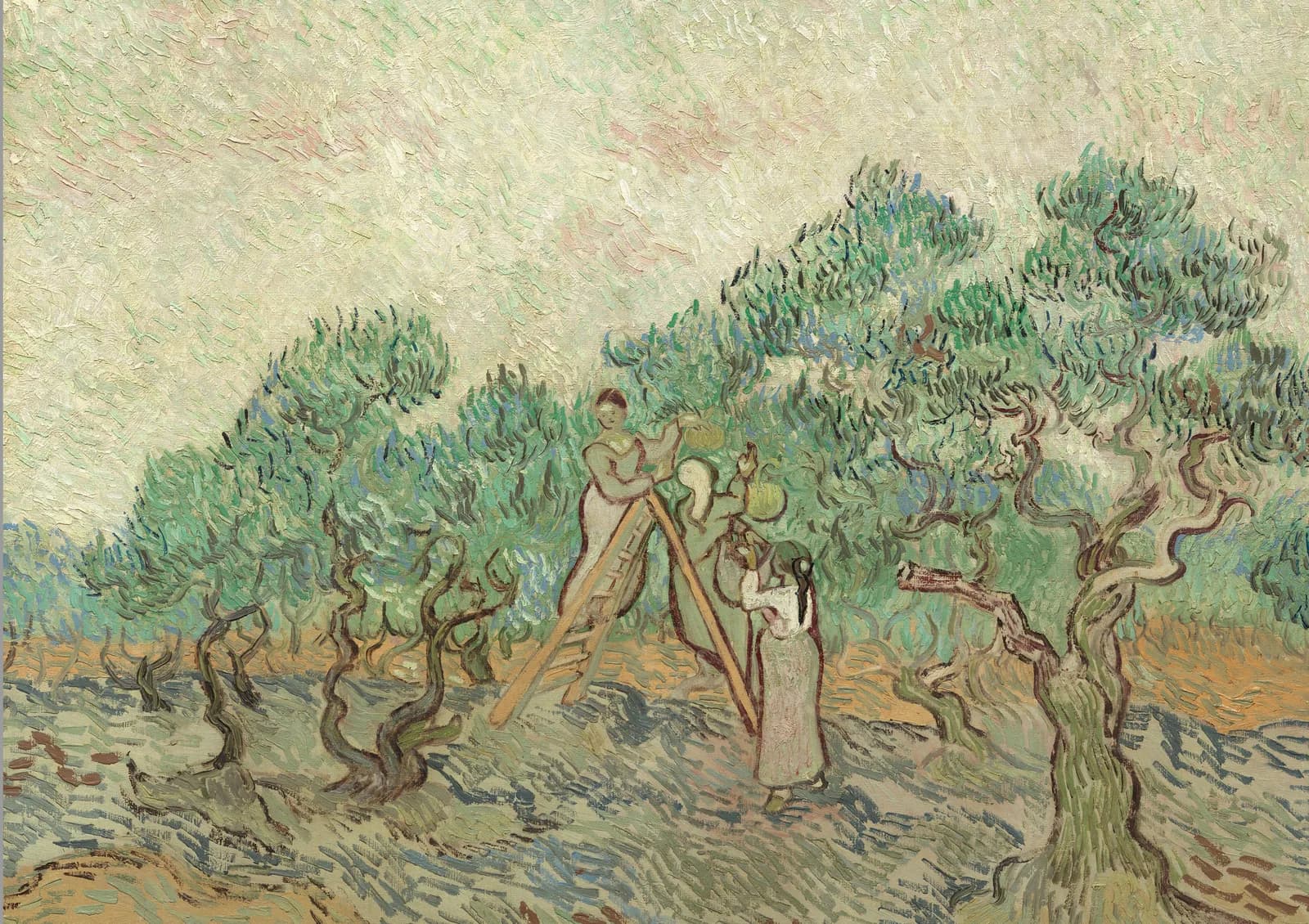 MAXIMALIST 2600 Vincent Van Gogh, The Olive Orchard, 1889 Ratio (7x5) copia