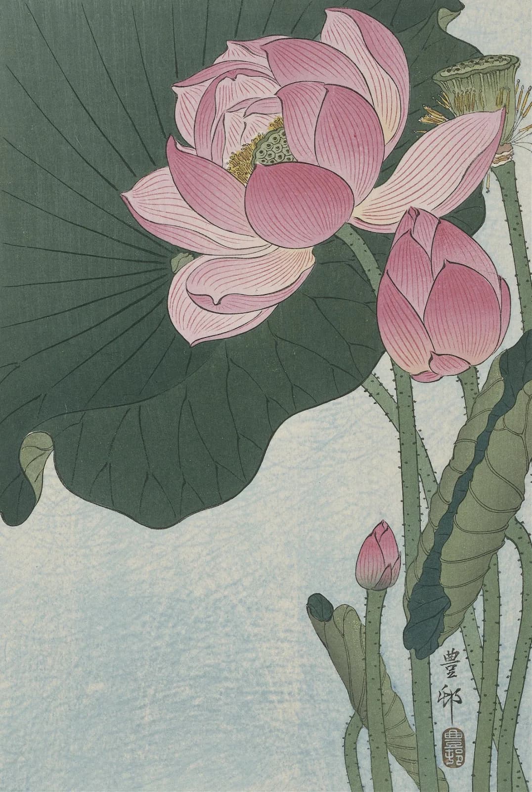 Japanese vintage animals Blooming lotus flowers (1920 1930)