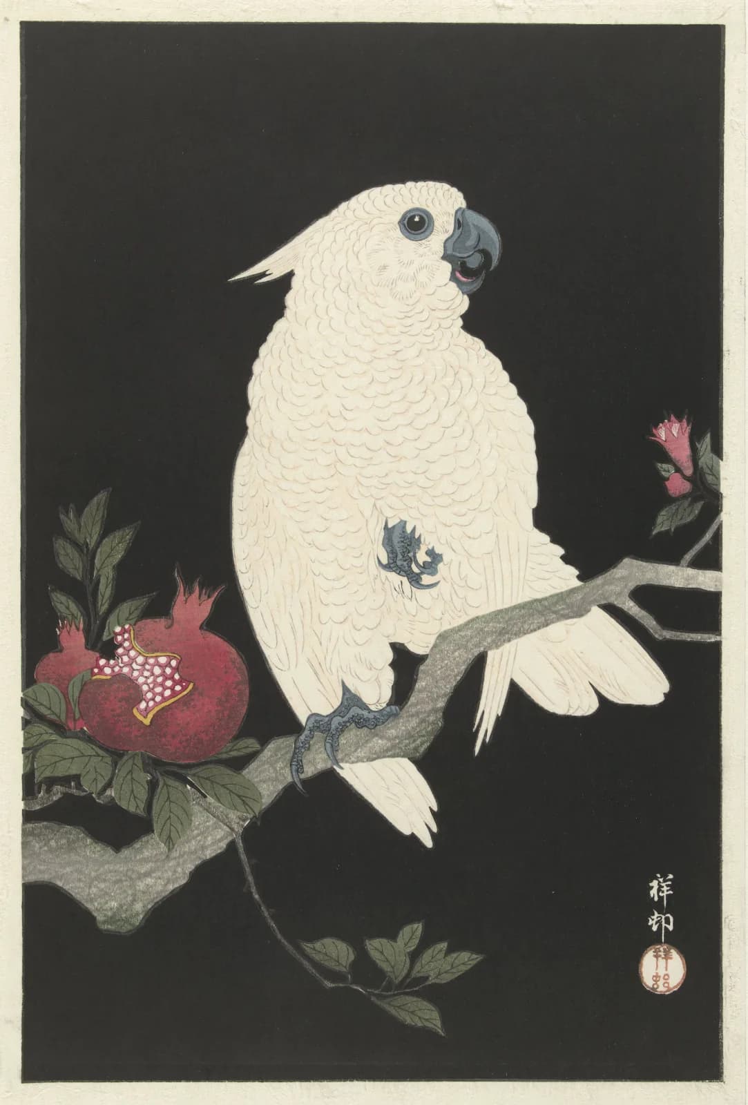 Japanese vintage animals Cockatoo and pomegranate (1925 1936)