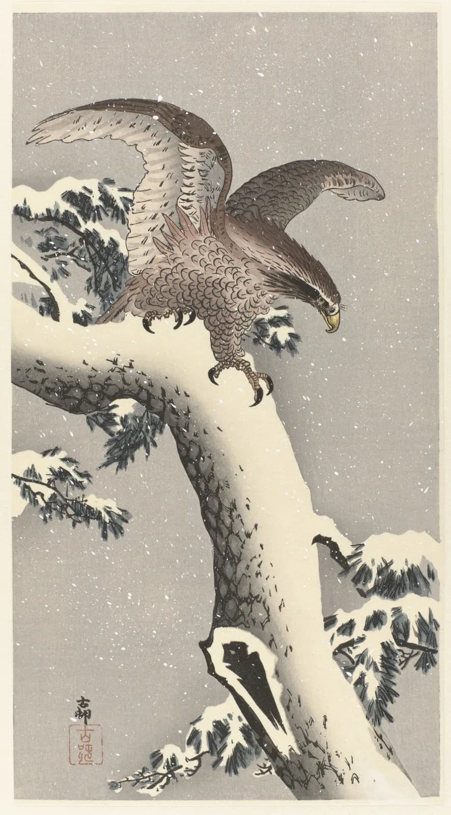 Japanese vintage animals Eagle on snowy pine tree (1887 1930)