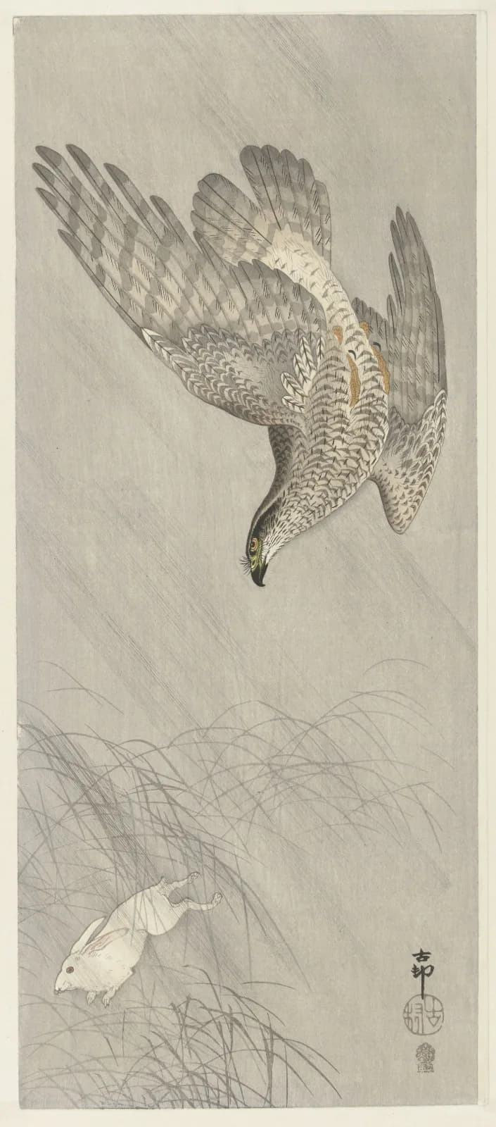 Japanese vintage animals Hawk hunting for hare (1900 1910)