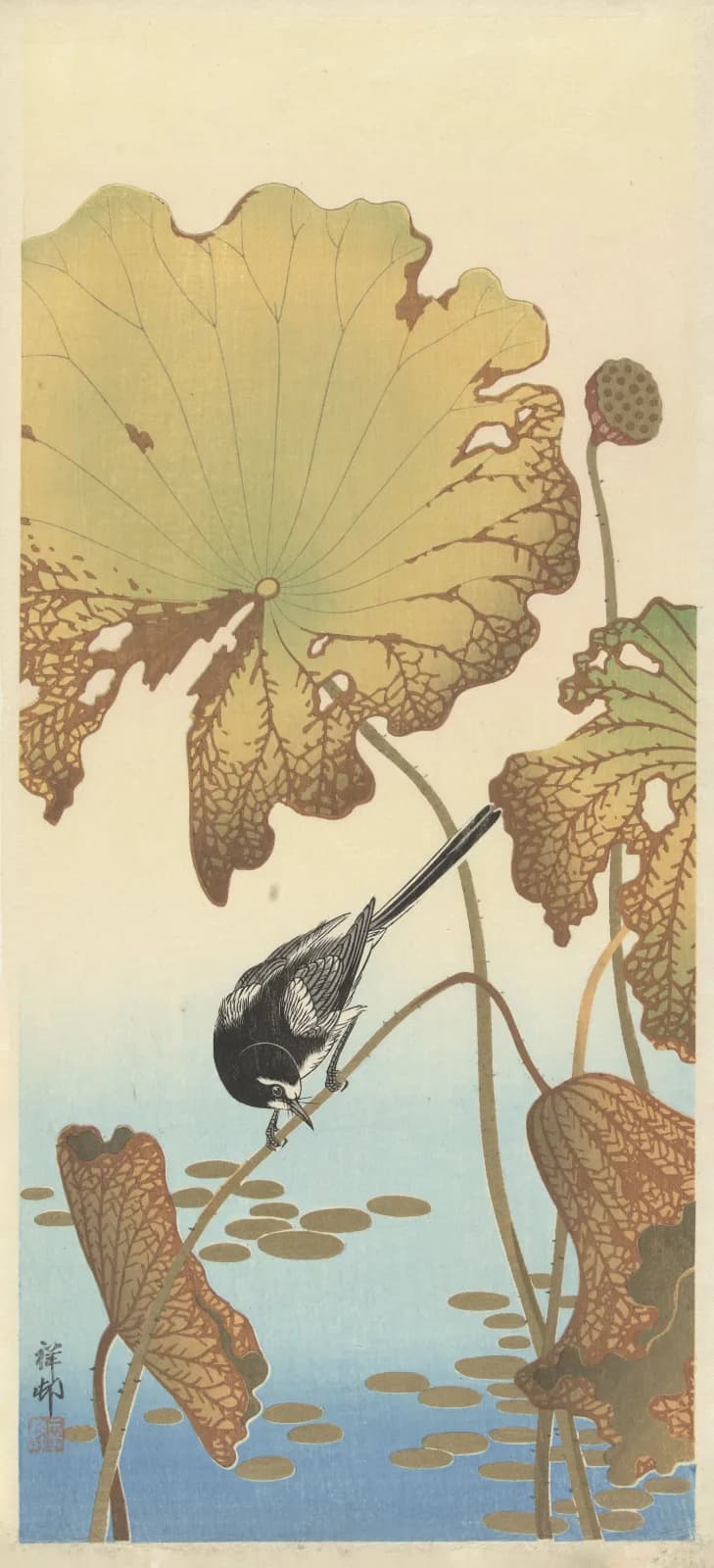 Japanese vintage animals Japanese wagtail on lotus plant (1925 1936)
