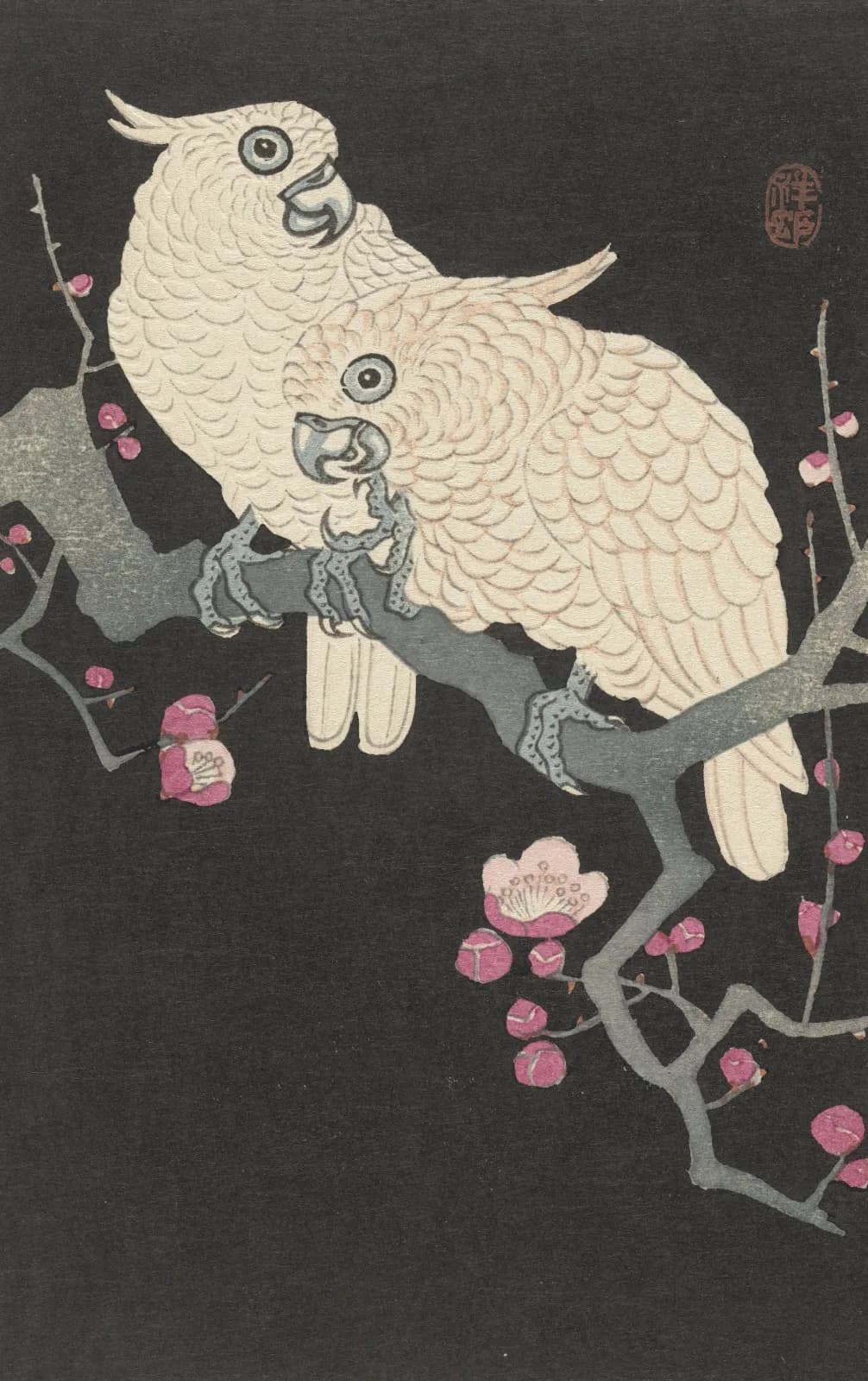 Japanese vintage animals Two cockatoo and plum blossom (1925 1936)