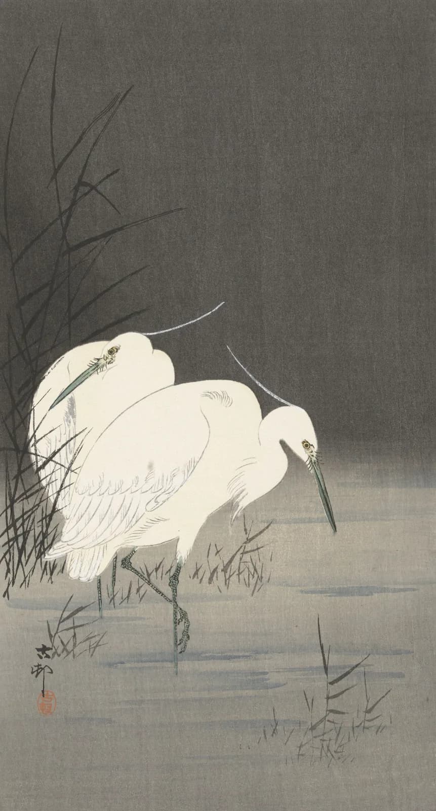 Japanese vintage animals Two egrets in the reeds (1900 1930)