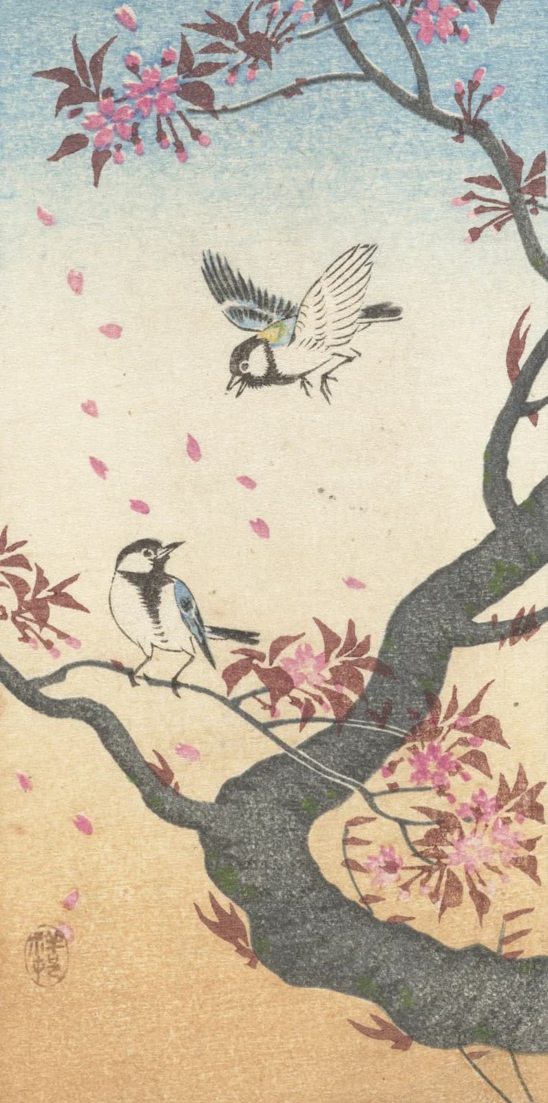 Japanese vintage animals Two great tits at blossoming tree (1925 1936)