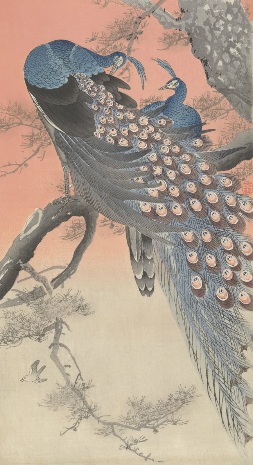 Japanese vintage animals Two peacocks on tree branch (1900 1930)
