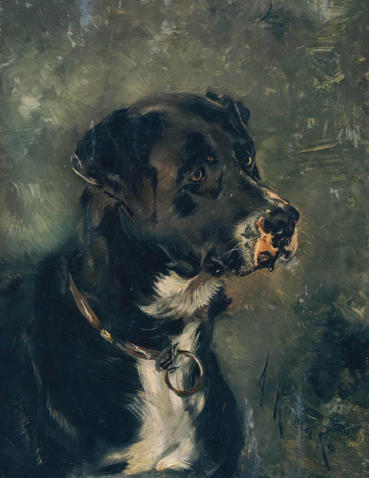 Vintage animals Kopf eines Fleischerhundes Hundekopf (1880 1882)