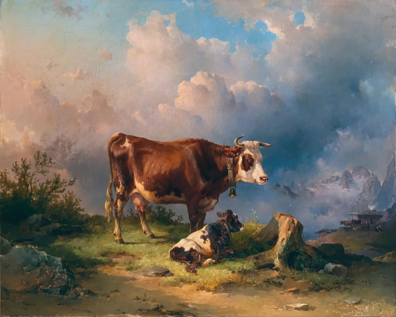 Vintage animals A Cow with a Calf in an Alpine Pasture, in the Background the Dachstein massif