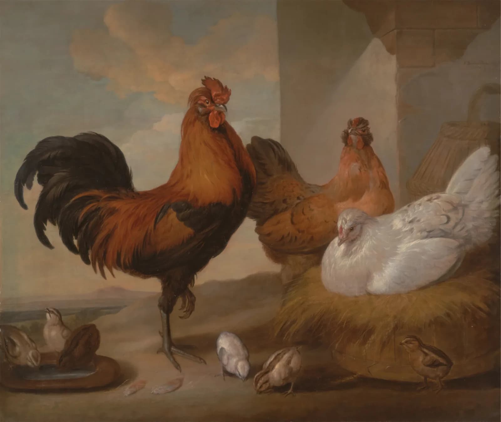 Vintage animals Domestic Cock, Hens and Chickens (1655) Barlow