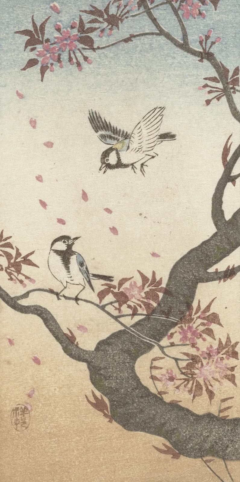 Neutral vintage summer Two great tits at blossoming tree (1925 1936)
