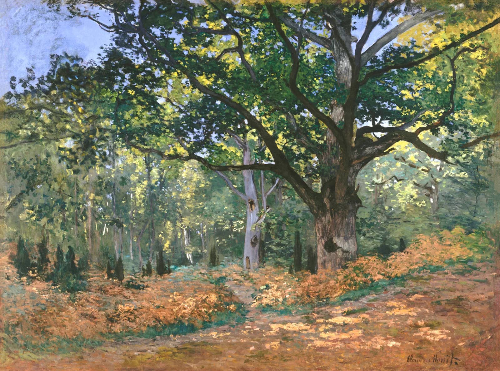 AUTUMN VINTAGE LD The Bodmer Oak, Fontainebleau Forest (1865) by Claude Monet