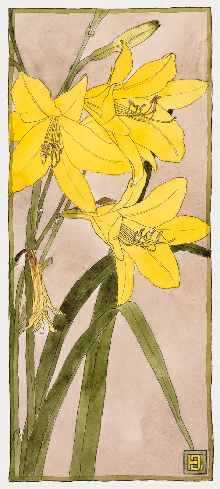 AUTUMN VINTAGE LD Yellow Daylily (1915) by Hannah Borger Overbeck