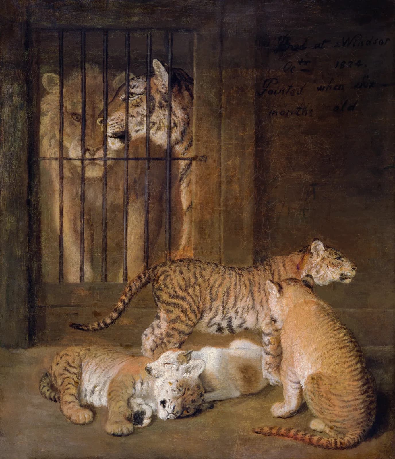 AUTUMN VINTAGE LD Group of Whelps Bred between a Lion and a Tigress (1825) by Jacques Laurent Agasse